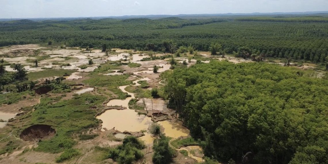 Western Minister Cracks Down on Illegal Miners Destroying Rubber Estates